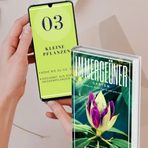 GRATIS E-Book / Kapitel 03:  Top 9 immergrüne Pflanzen bis zu 1m /  vom Buch „Immergrüner GARTEN“