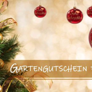 Weihnachtsgutschein